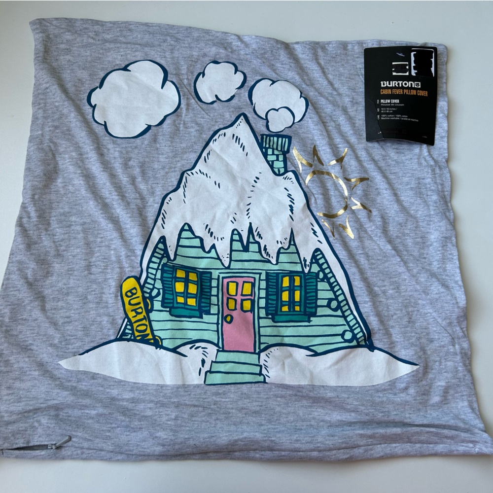 Pottery barn teen, Burton graphic T pillow covers